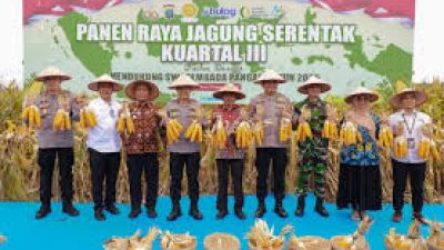 Polres Prabumulih Gelar Panen Raya Jagung Kuartal III,